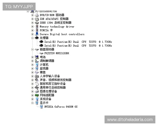 如何根据bg大游真人登录线路图选择最佳登录线路确保游戏稳定不卡顿